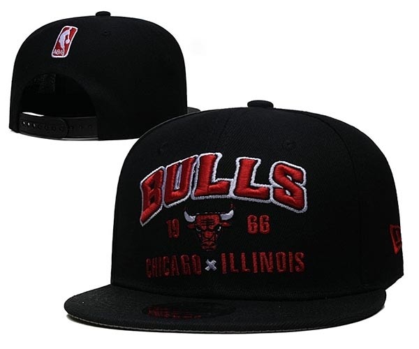 CapsNBACBulls2002