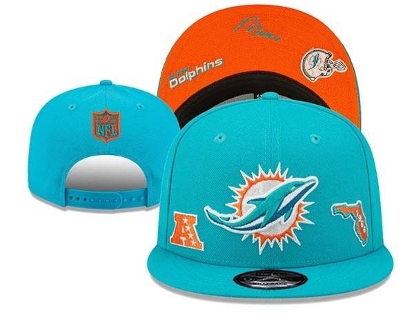 CapsNFLMDolphins2004