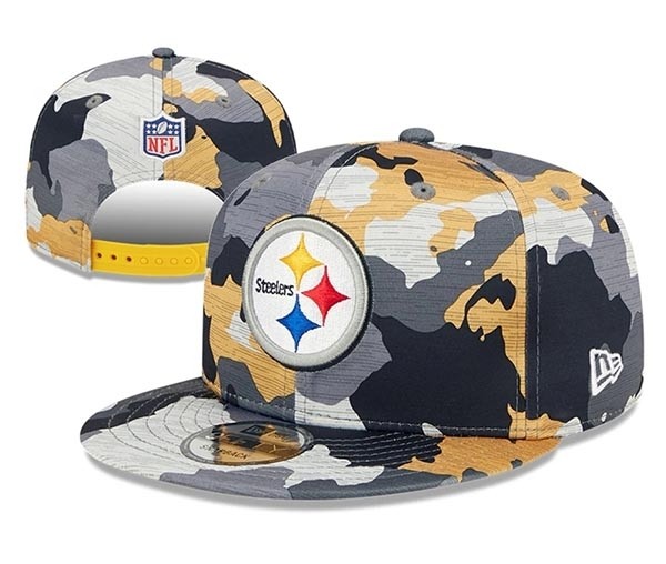 CapsNFLPSteelers2014