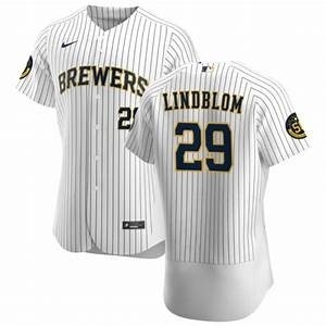 Men's Milwaukee Brewers #29 Josh Lindblom Nike White Home 2020 Authentic Player MLB Jersey