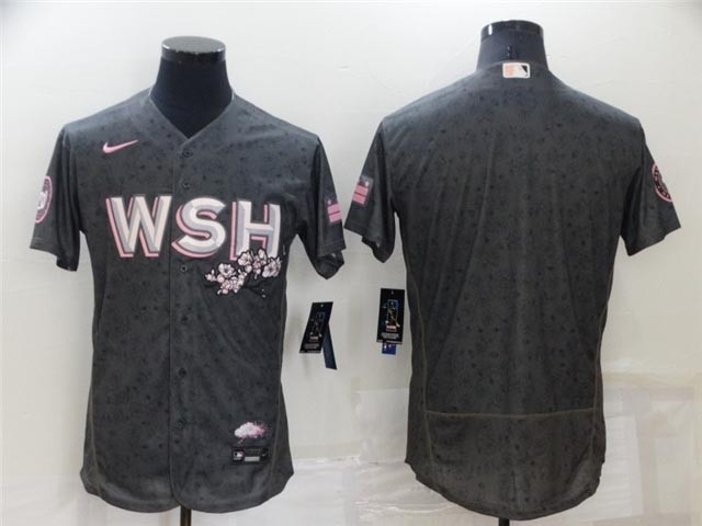 Washington Nationals 2022 Gray City Connect Flex Base Team Jersey