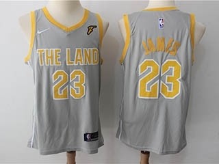 Cavaliers #23 LeBron James Gray The Land Nike Swingman Jersey