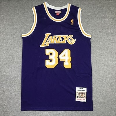 NBA Throwback Los Angeles Lakers #34 Shaquille O'Neal Purple 1996-97 Hardwood Classics Mesh Jersey